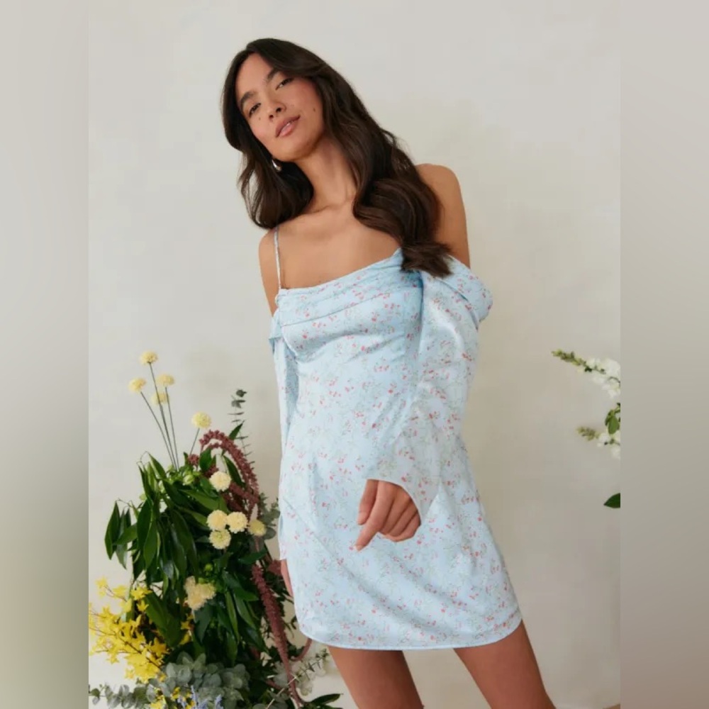 NWT Park & Fifth Blue Floral Nora Mini Dress